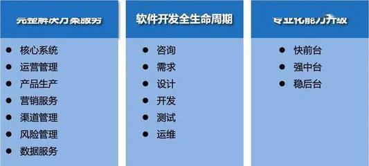 聚焦战略，洞见未来 润和软件“一体两翼，双轮驱动”战略深度访谈